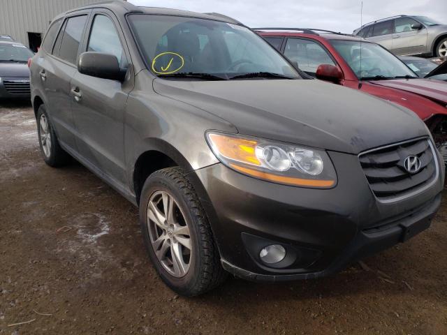 HYUNDAI SANTA FE G 2011 5xyzg3ab1bg025460