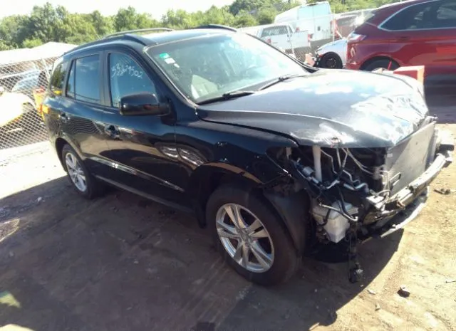 HYUNDAI SANTA FE 2011 5xyzhdag1bg033508