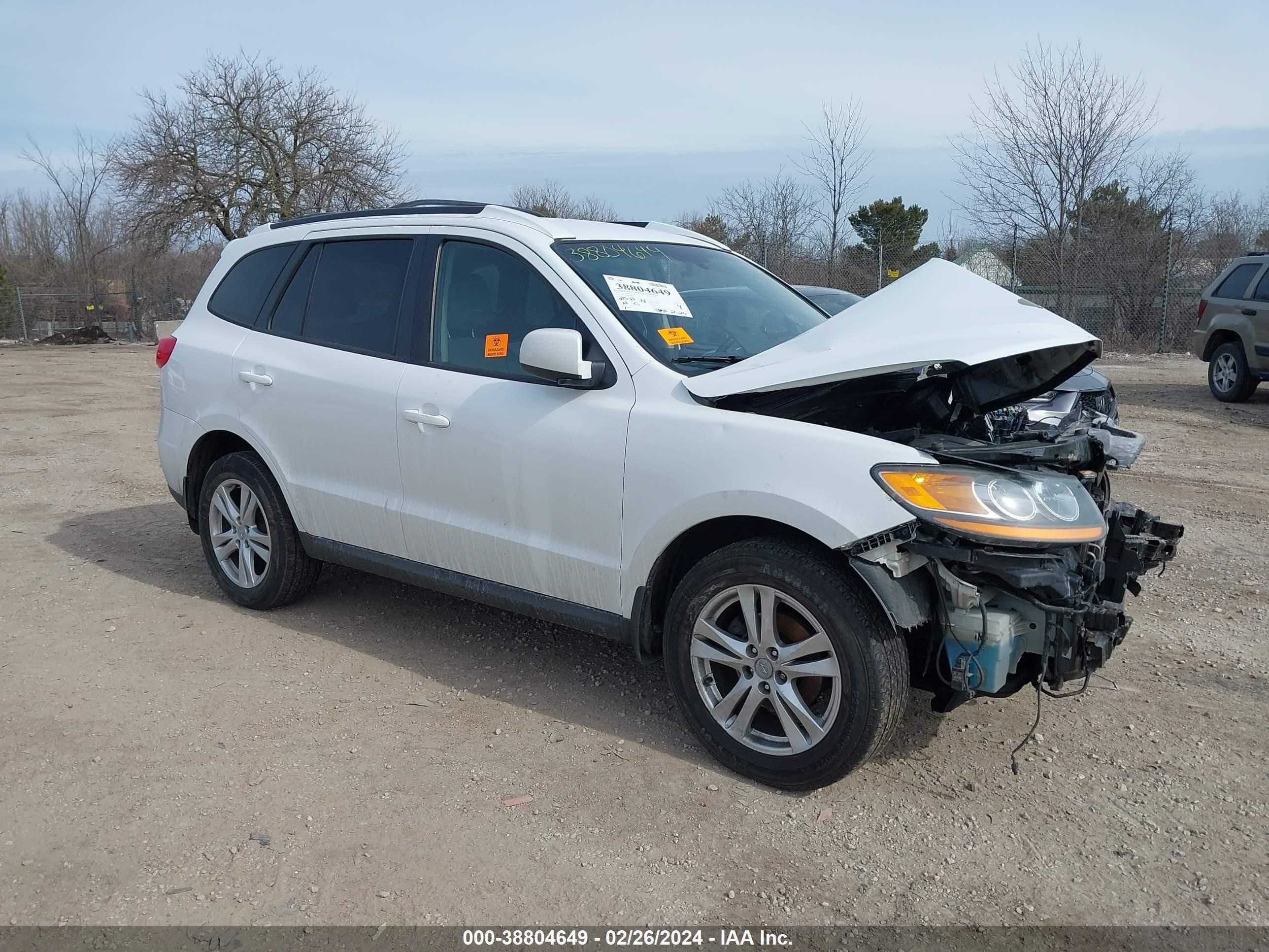 HYUNDAI SANTA FE 2011 5xyzhdag6bg049722