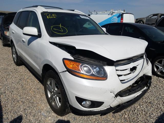 HYUNDAI SANTA FE L 2011 5xyzk4ag3bg003279