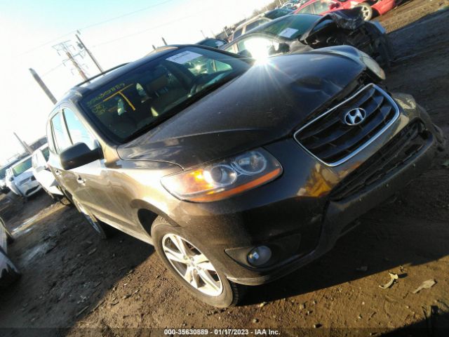 HYUNDAI SANTA FE 2011 5xyzk4ag3bg049016