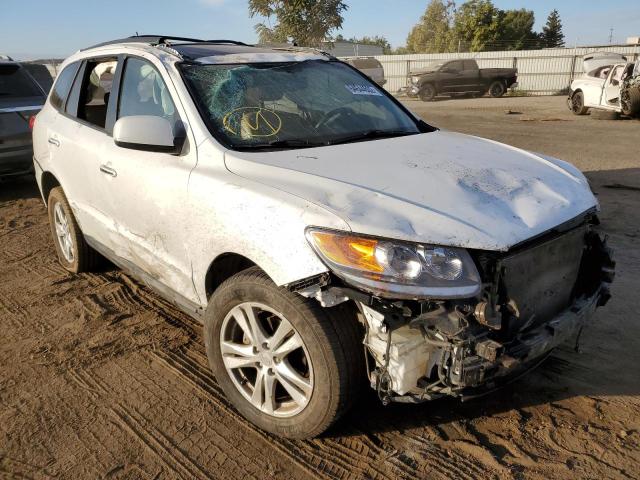 HYUNDAI SANTA FE L 2012 5xyzk4ag4cg110228