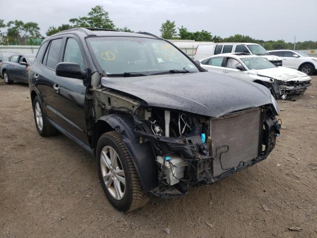 HYUNDAI SANTA FE L 2011 5xyzkdag7bg034194