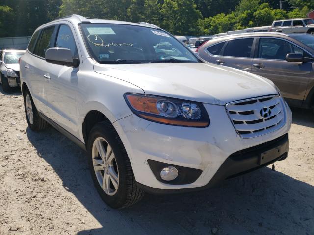 HYUNDAI SANTA FE 2011 5xyzkdag7bg069365