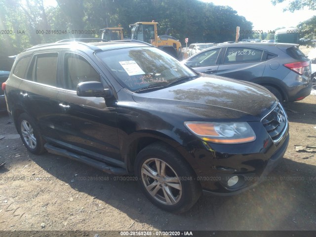 HYUNDAI SANTA FE 2011 5xyzkdag8bg011605