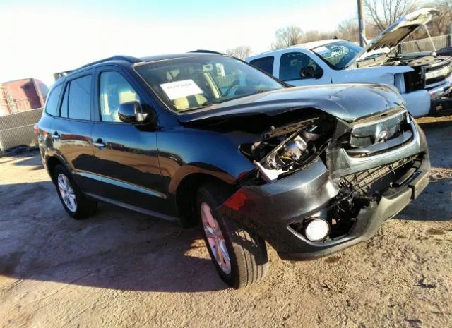 HYUNDAI SANTA FE 2011 5xyzkdag8bg075949