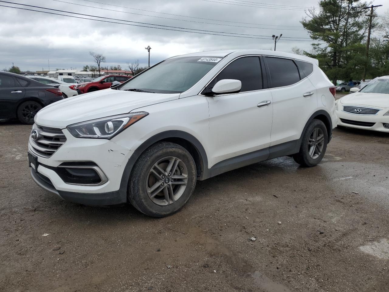 HYUNDAI SANTA FE 2017 5xyztdlb0hg442334