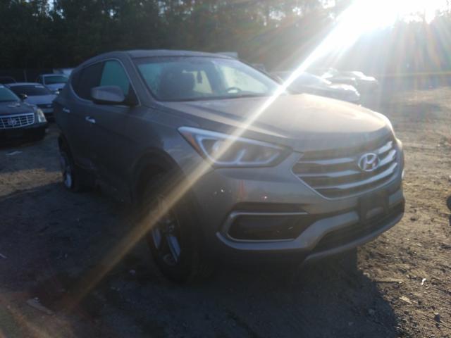 HYUNDAI SANTA FE S 2017 5xyztdlb2hg397526