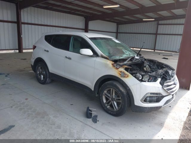 HYUNDAI SANTA FE SPORT 2017 5xyztdlb2hg430363