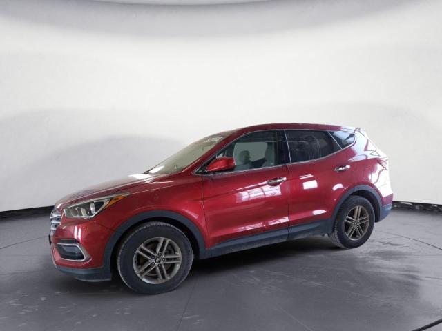 HYUNDAI SANTA FE S 2017 5xyztdlb2hg442562