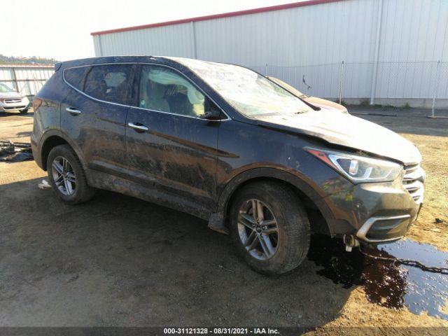 HYUNDAI SANTA FE SPORT 2017 5xyztdlb8hg468227