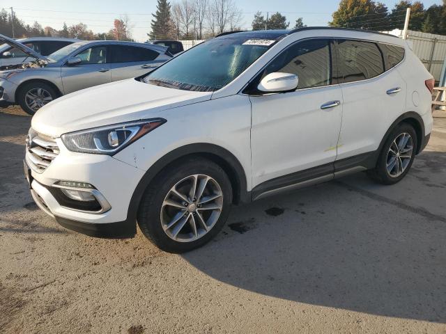 HYUNDAI SANTA FE S 2017 5xyzudla5hg492831