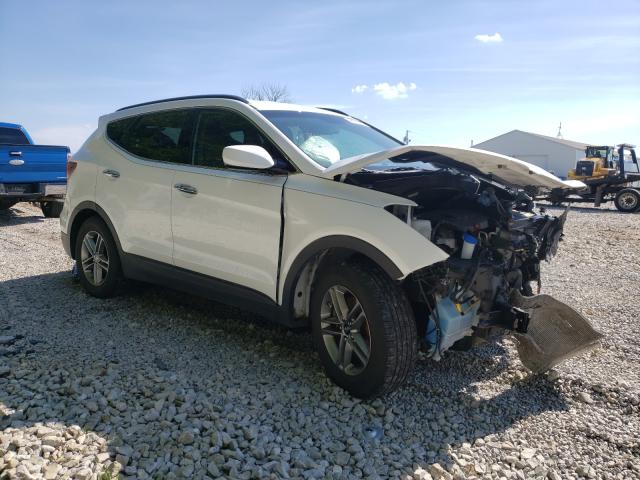 HYUNDAI SANTA FE S 2017 5xyzudlb3hg389187