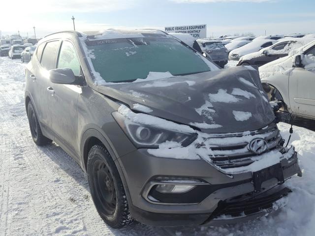 HYUNDAI SANTA FE S 2017 5xyzudlb5hg452032