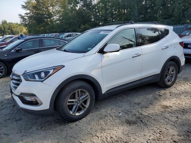 HYUNDAI SANTA FE S 2017 5xyzudlb7hg397826