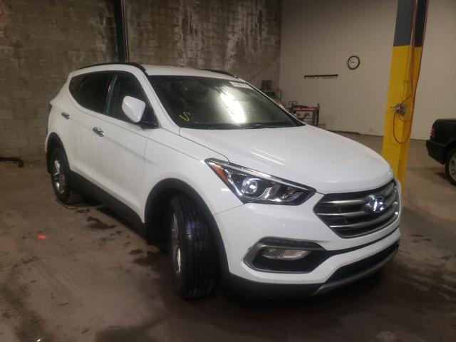 HYUNDAI SANTA FE S 2017 5xyzudlb7hg427455