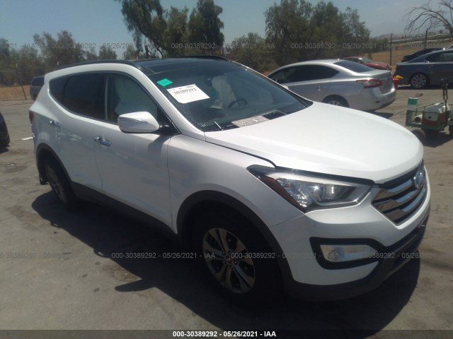 HYUNDAI SANTA FE SPORT 2014 5xyzudlb8eg167224