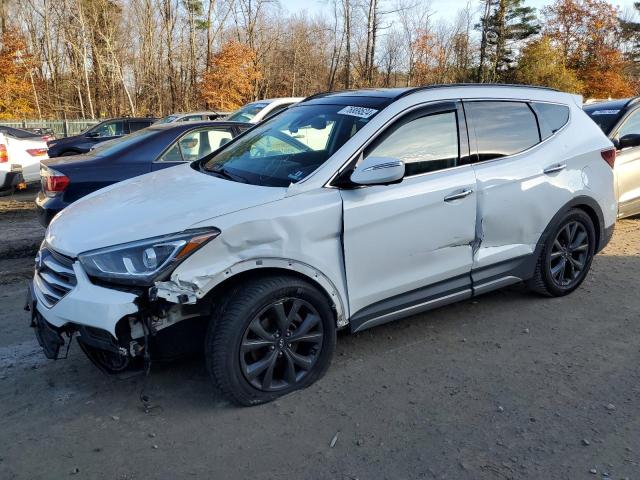 HYUNDAI SANTA FE S 2017 5xyzwdlaxhg415706