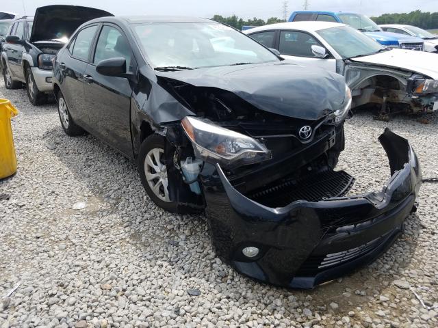 TOYOTA COROLLA 2016 5yfburhe0gp434257