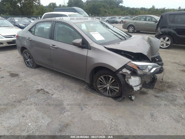 TOYOTA COROLLA 2016 5yfburhe1gp439600