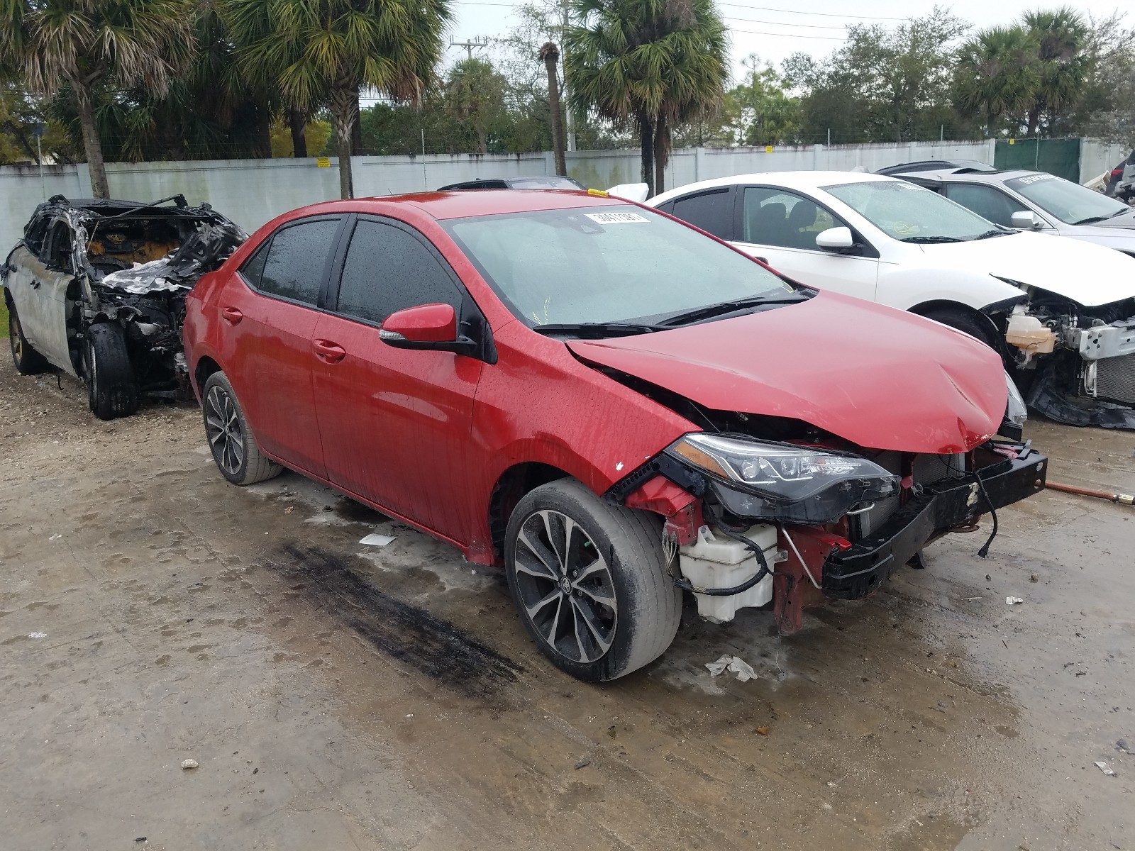 TOYOTA COROLLA L 2019 5yfburhe5kp883880