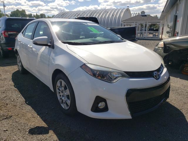 TOYOTA COROLLA L 2016 5yfburhe6gp410402