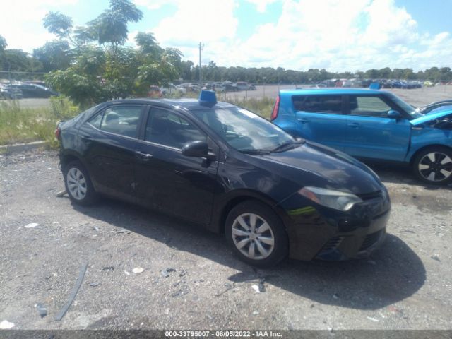 TOYOTA COROLLA 2016 5yfburhe6gp504649