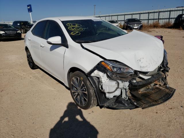 TOYOTA COROLLA L 2019 5yfburhe6kp905787