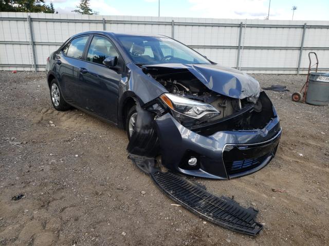 TOYOTA COROLLA L 2016 5yfburhe9gp455009