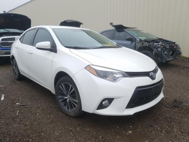 TOYOTA COROLLA L 2016 5yfburhe9gp547219