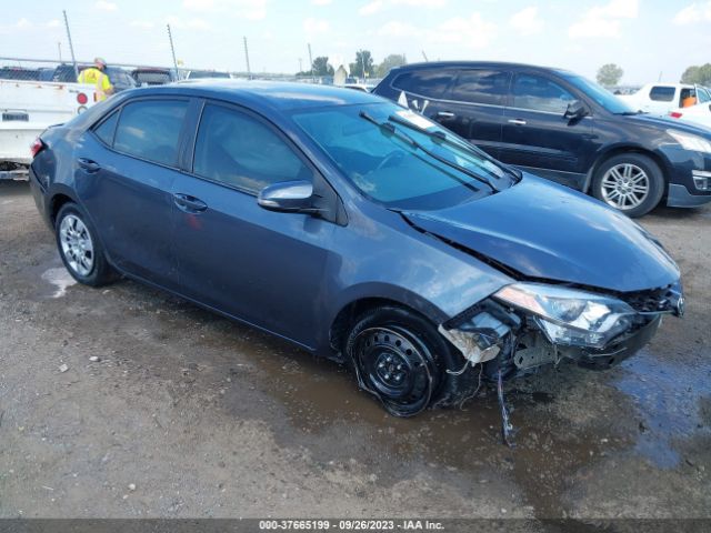 TOYOTA COROLLA 2016 5yfburhexgp401945