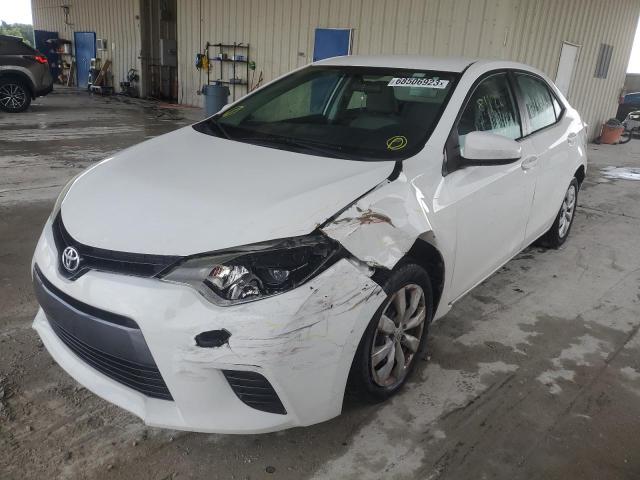 TOYOTA COROLLA L 2016 5yfburhexgp557080