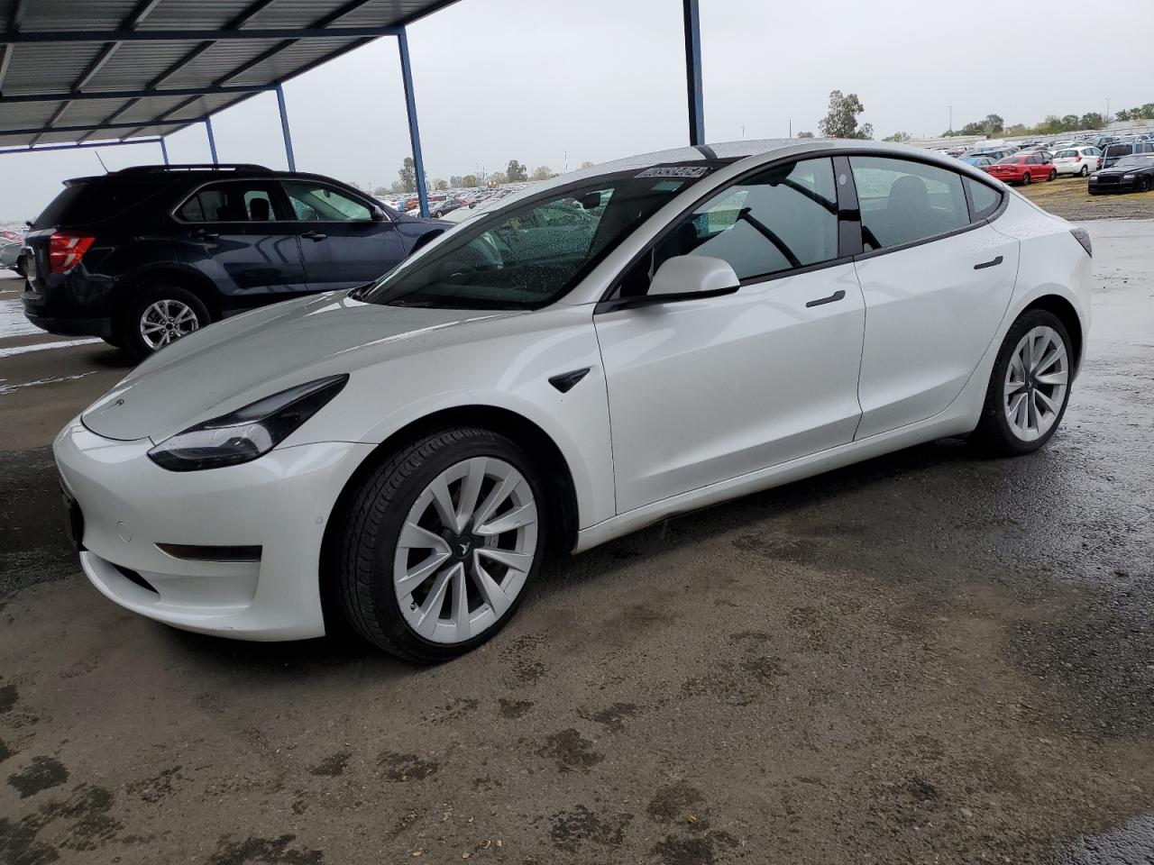 TESLA MODEL 3 2022 5yj3e1ea0nf145537