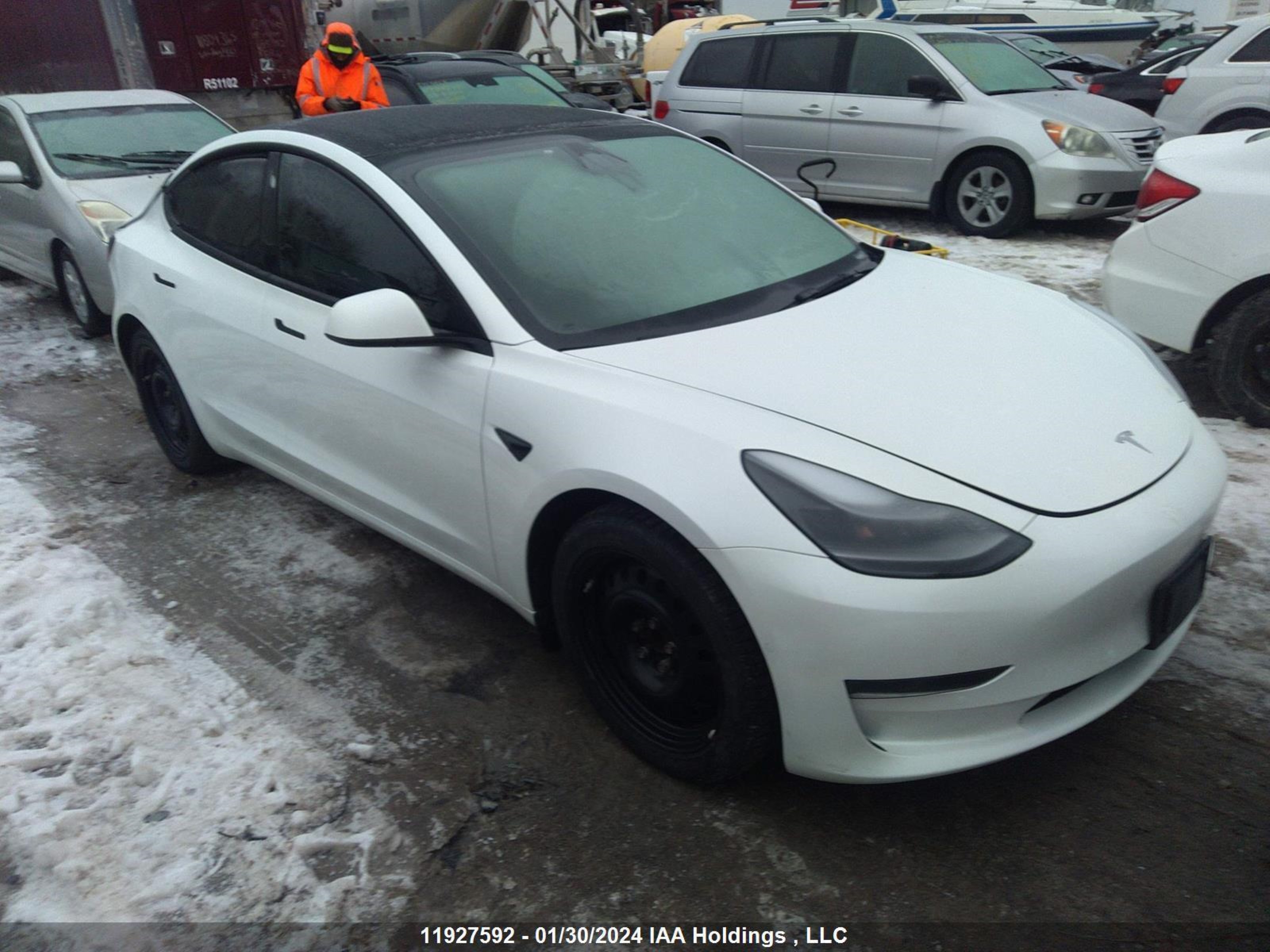 TESLA MODEL 3 2022 5yj3e1ea0nf332115