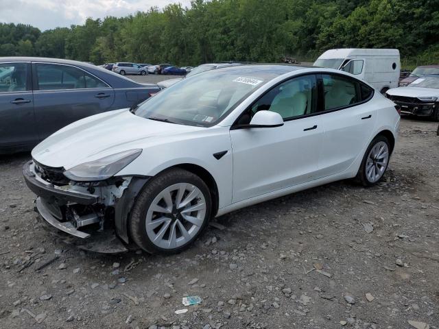 TESLA MODEL 3 2023 5yj3e1ea0pf417541