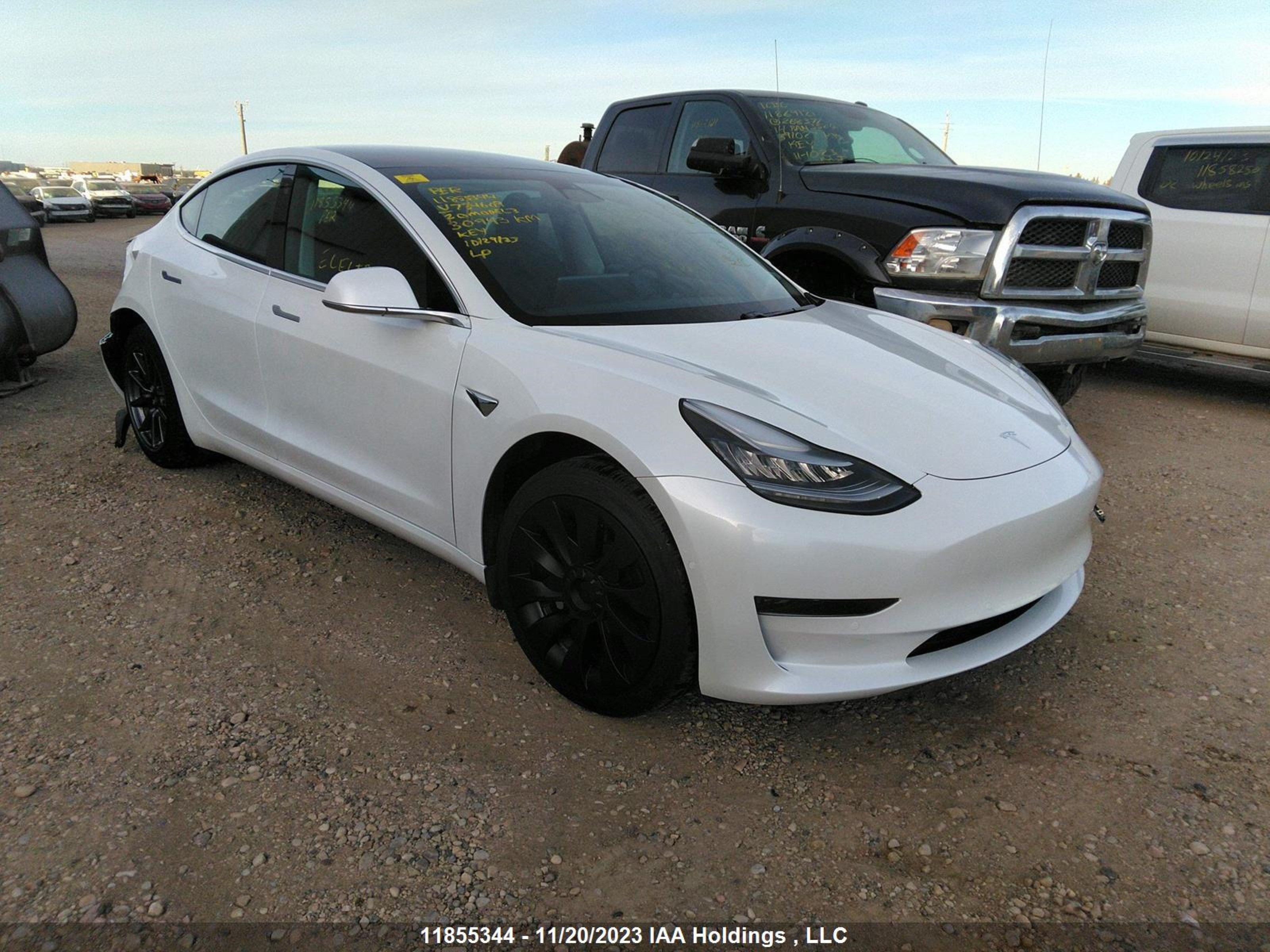 TESLA MODEL 3 2020 5yj3e1ea1lf734609