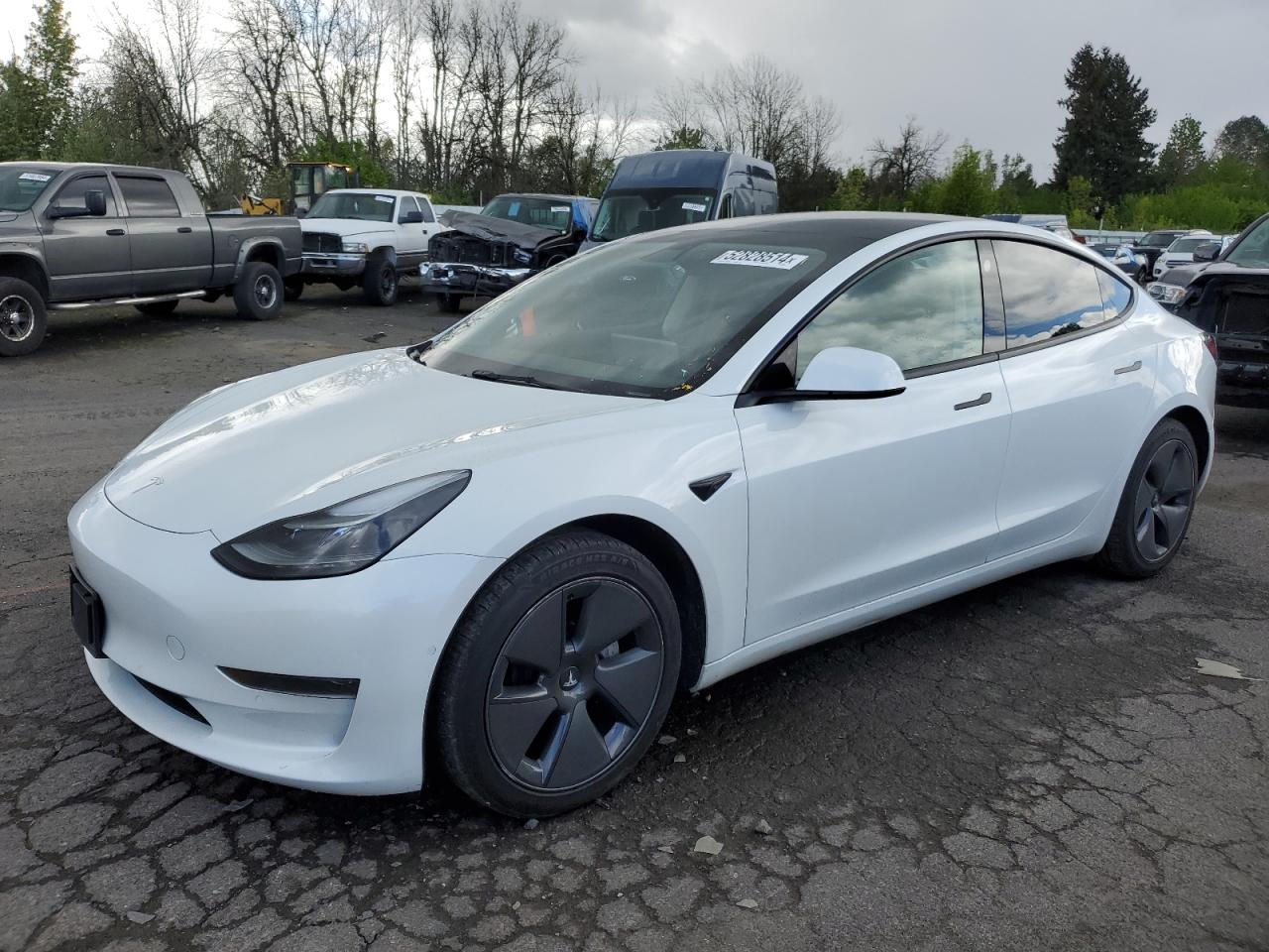 TESLA MODEL 3 2021 5yj3e1ea1mf093527