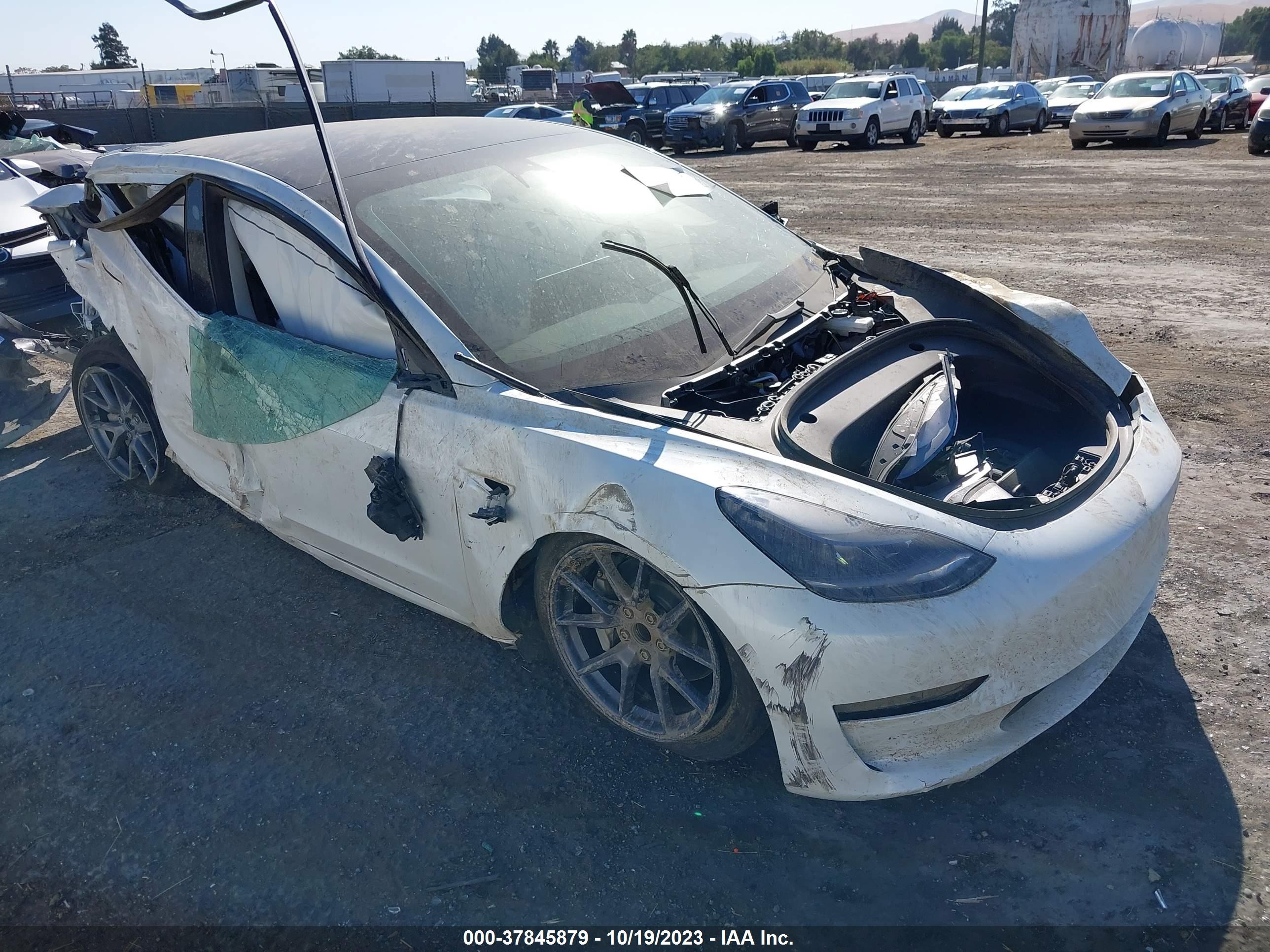 TESLA MODEL 3 2023 5yj3e1ea1pf647024