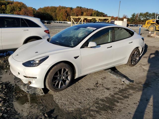 TESLA MODEL 3 2023 5yj3e1ea2pf556151