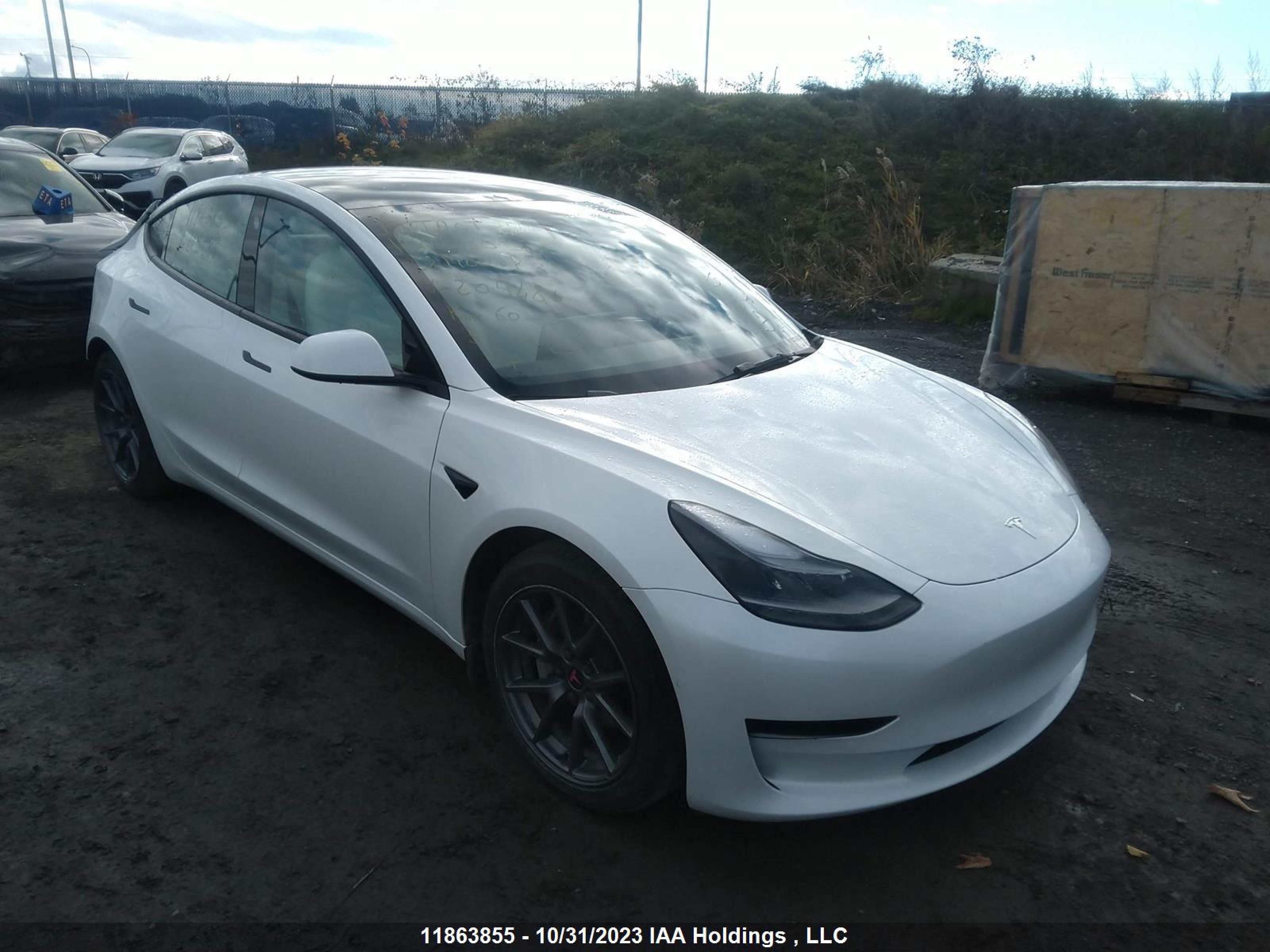 TESLA MODEL 3 2022 5yj3e1ea3nf205486