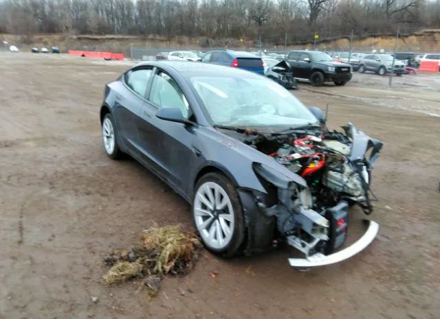 TESLA MODEL 3 2023 5yj3e1ea3pf382901