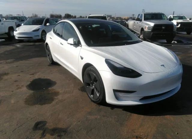 TESLA MODEL 3 2023 5yj3e1ea3pf431434