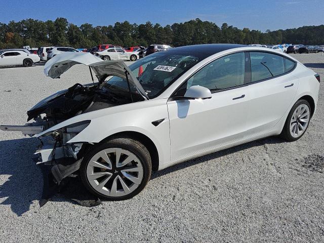 TESLA MODEL 3 2023 5yj3e1ea3pf437458