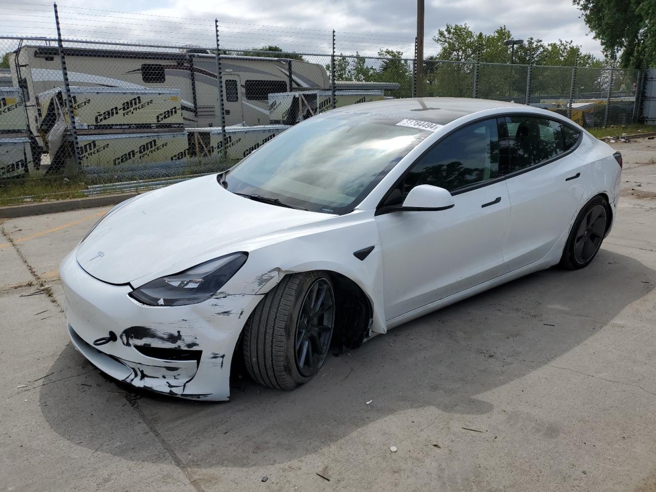 TESLA MODEL 3 2023 5yj3e1ea3pf453806