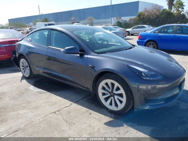 TESLA MODEL 3 2023 5yj3e1ea3pf581401