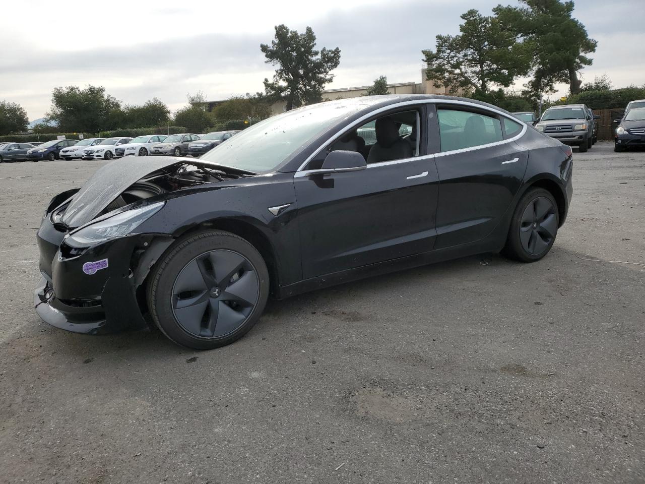 TESLA MODEL 3 2019 5yj3e1ea4kf397903