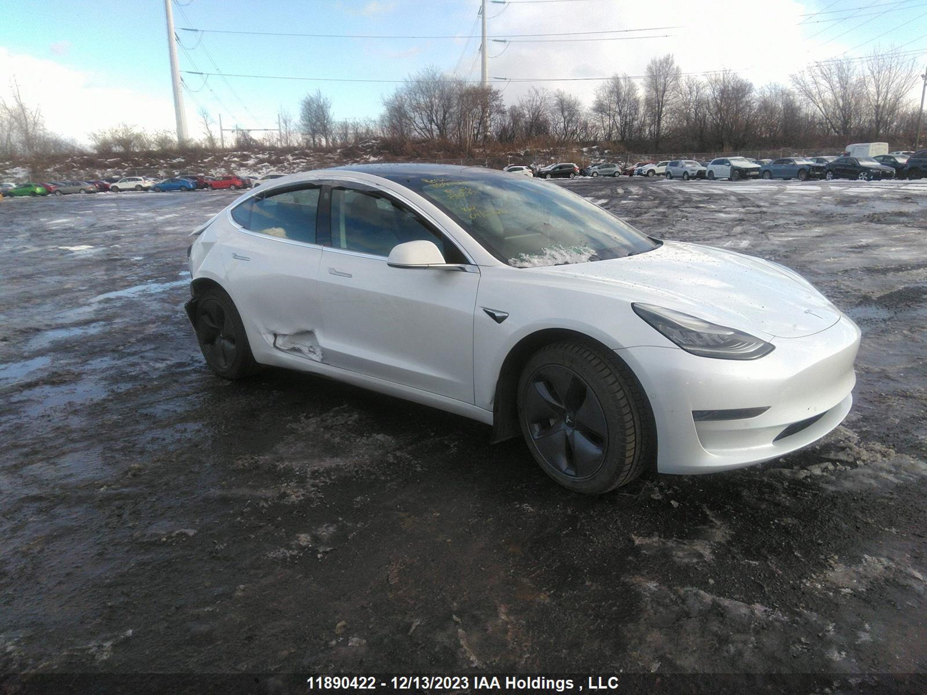 TESLA MODEL 3 2019 5yj3e1ea4kf487844