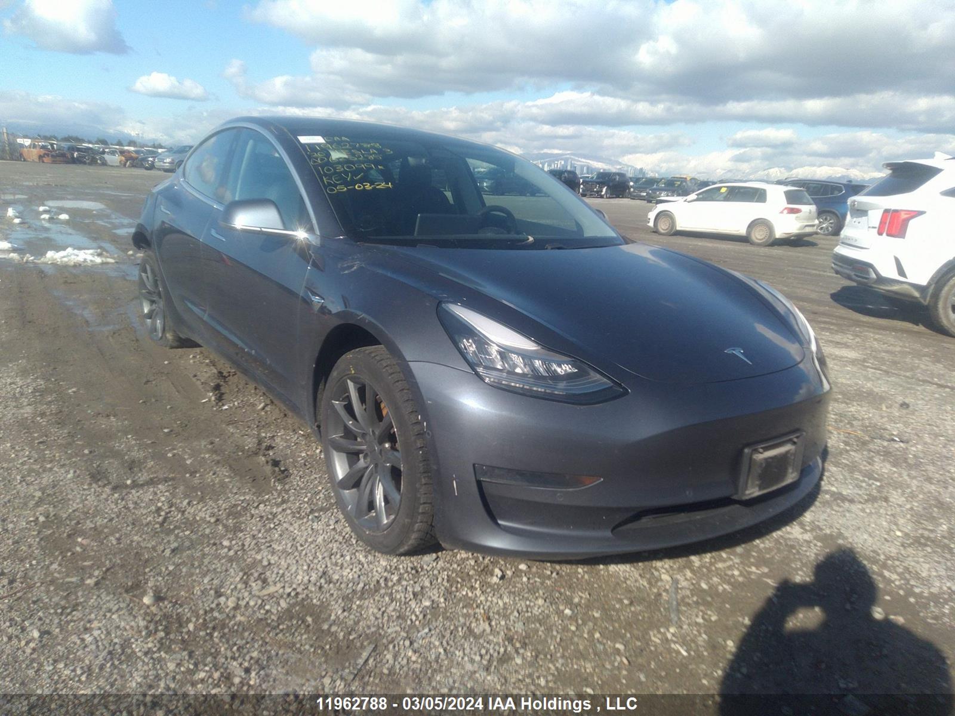 TESLA MODEL 3 2020 5yj3e1ea4lf625285