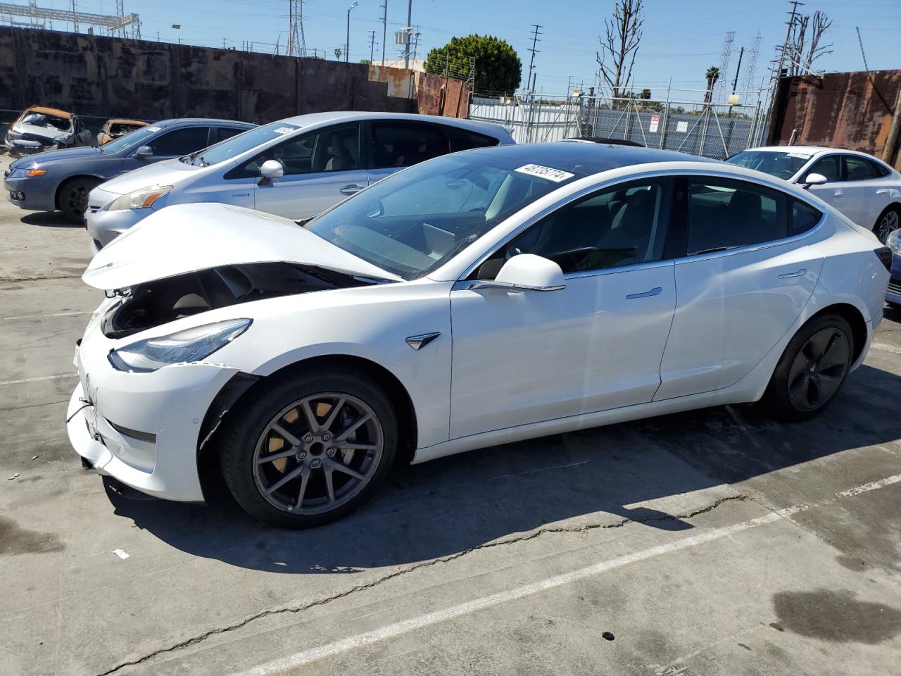 TESLA MODEL 3 2024 5yj3e1ea4lf645004