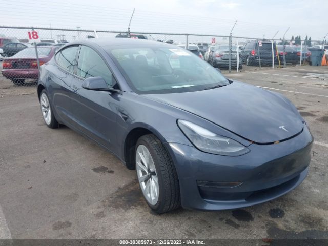 TESLA MODEL 3 2023 5yj3e1ea4pf448484